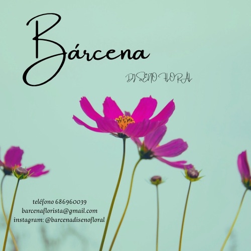 Bárcena Diseño Floral