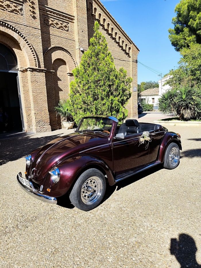 Beetle Clásico