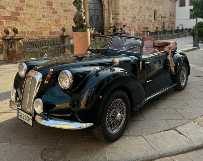 Classic Car Event