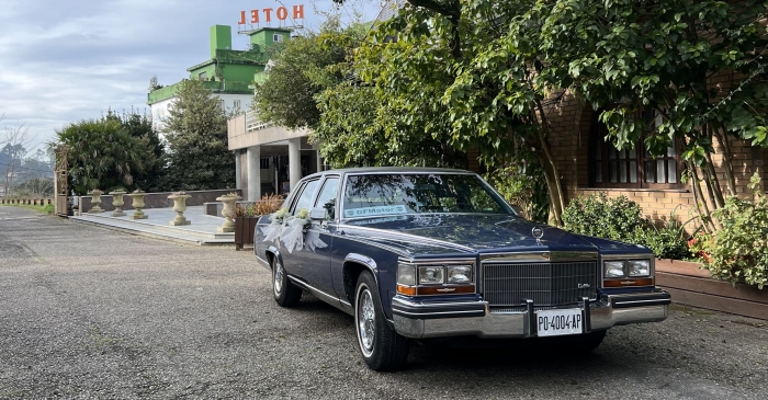 DFMotor