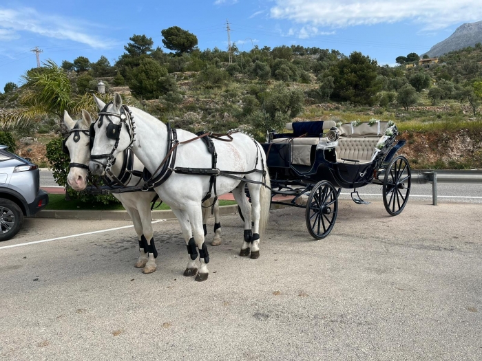 Eventos a caballo MV