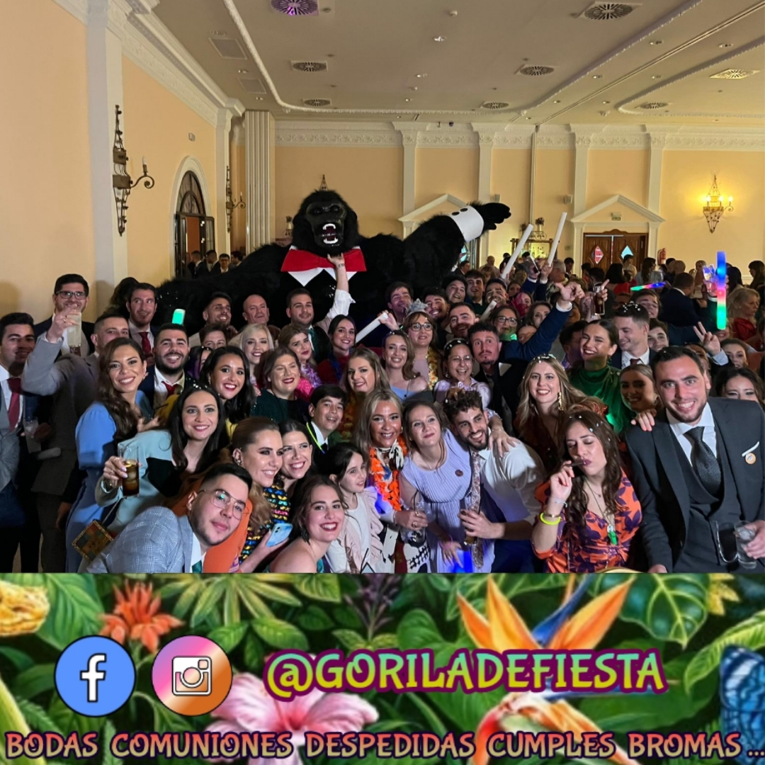 GORILA DE FIESTA 