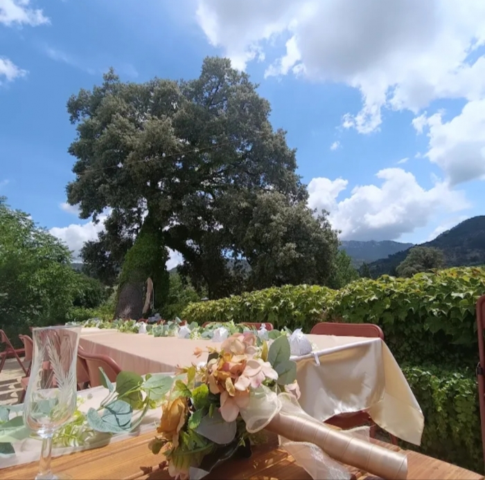 La Casica de Bienservida 