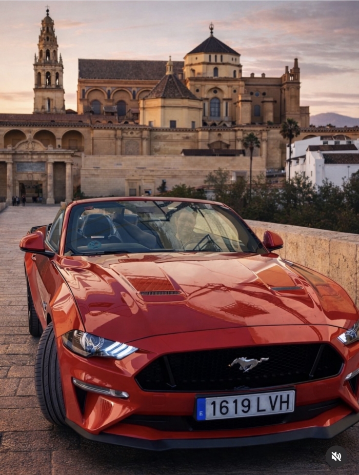 MUSTANG BODAS