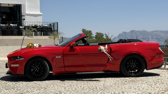 MUSTANG BODAS