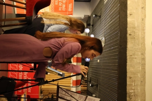 Rosa Valdivia duo piano voz , guitarra voz, harpa voz