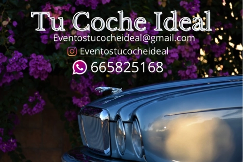 Tu Coche Ideal