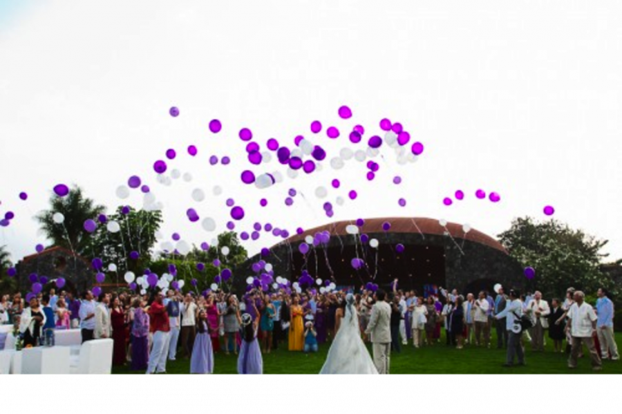 Bodas Plus Arts