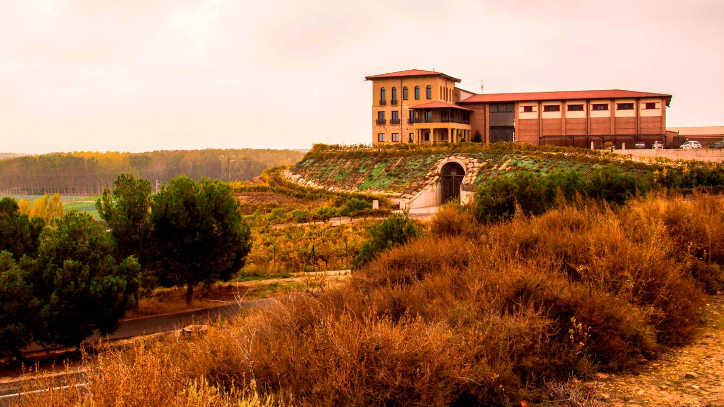 Bodegas Manzanos