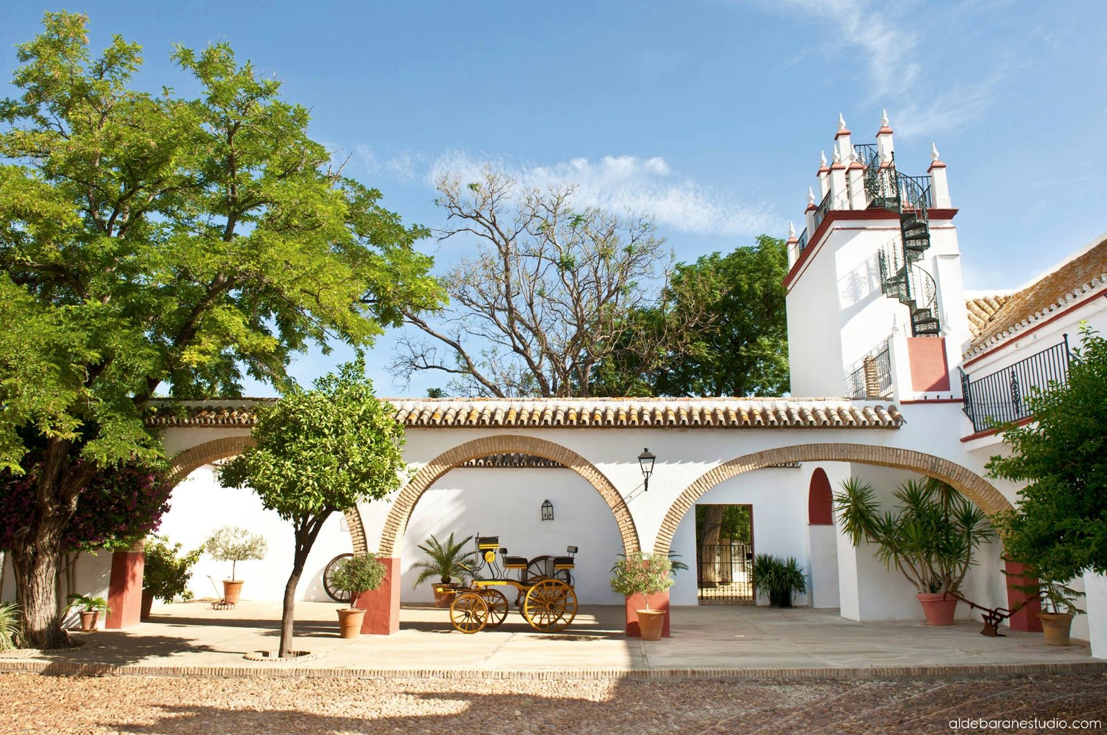 Hacienda Atalaya Alta