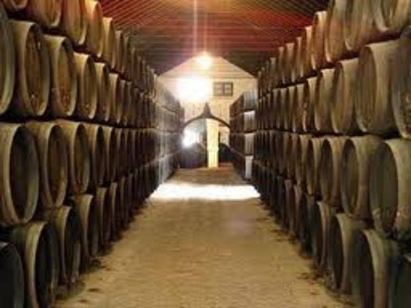 Bodegas Góngora