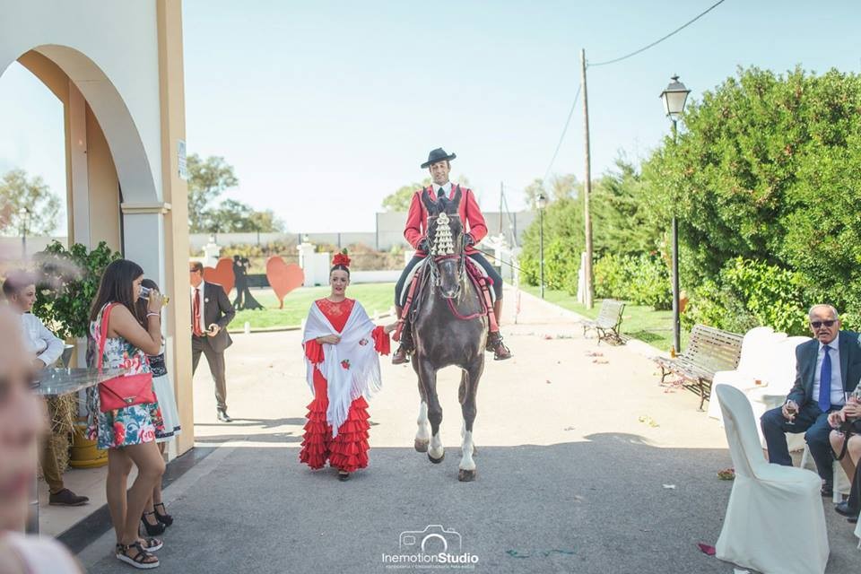 finca el caballo exhibiciones