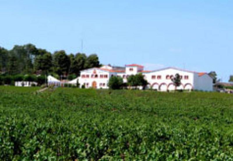 Bodegas Capita Vidal