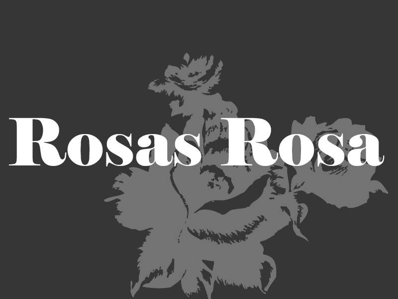 Rosas Rosa