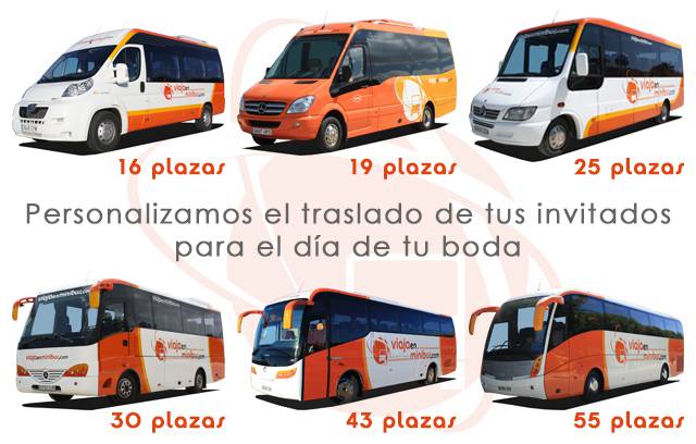 Viajaenminibus.com