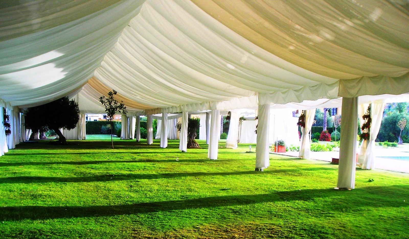 Carpas Y Eventos