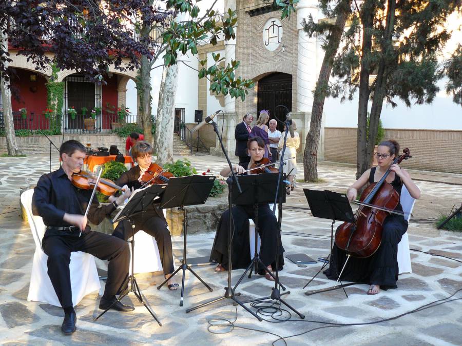 Cuarteto Guadiana