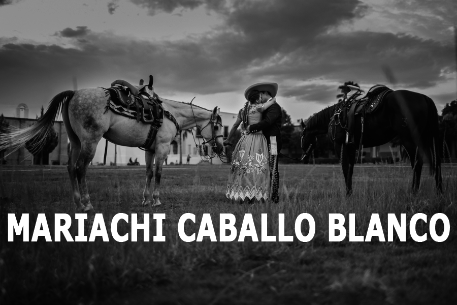 Mariachi Caballo Blanco De Pereira