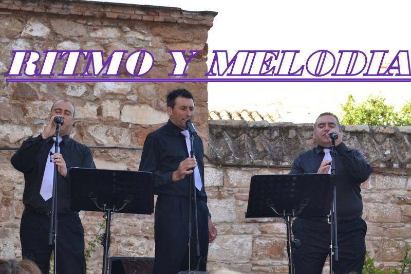Asociacion Cultural Musical Ritmo Y Melodia