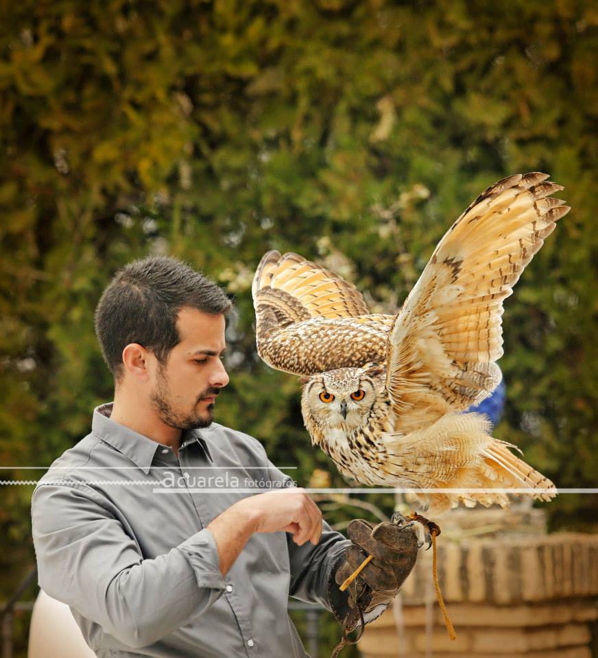 Entrega Alianzas Con Aves