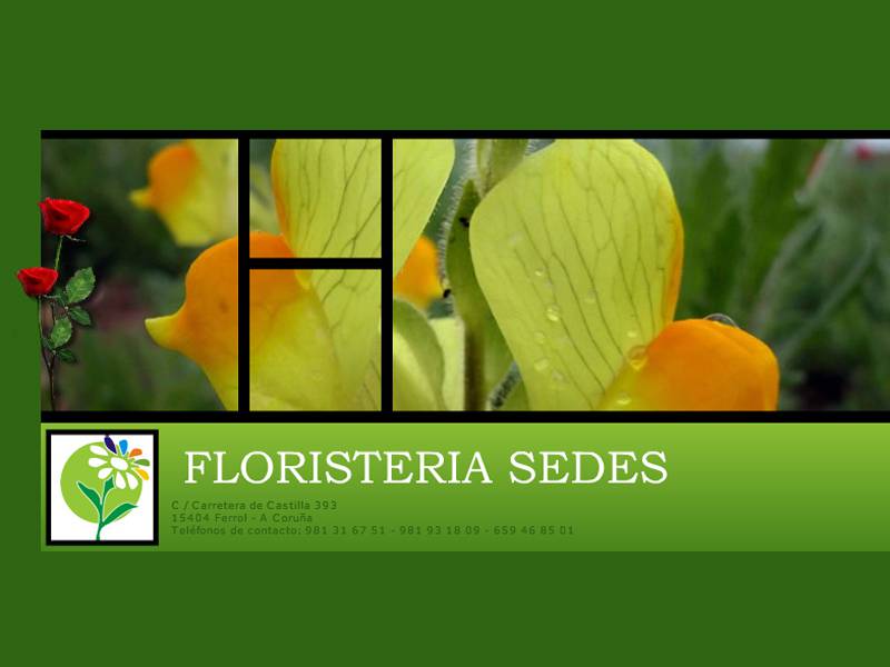 Floristeria Sedes