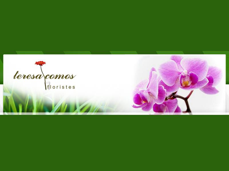 Teresa Comos Floristes