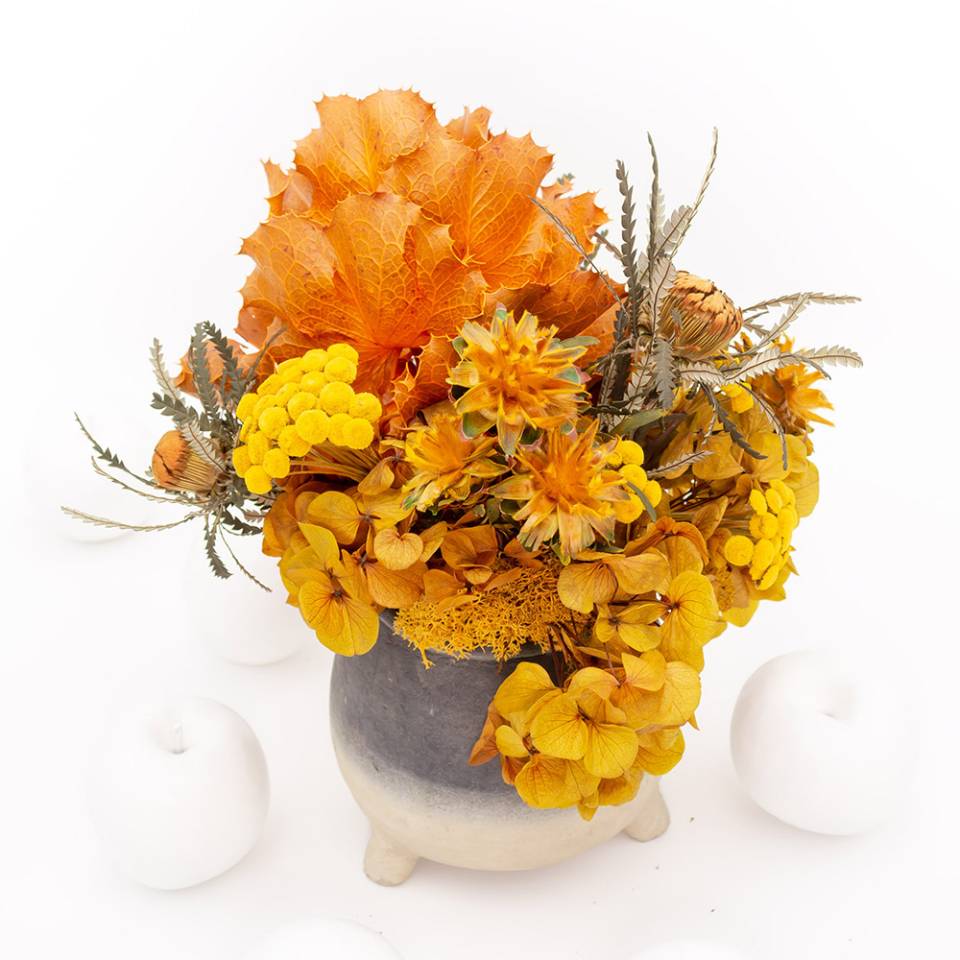 Botanicum, Centros De Flor Preservada