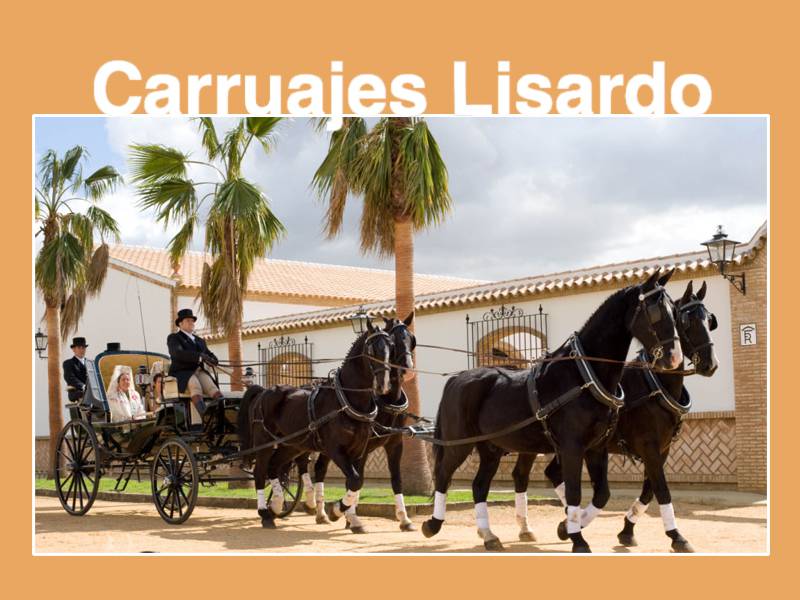 Carruajes Lisardo