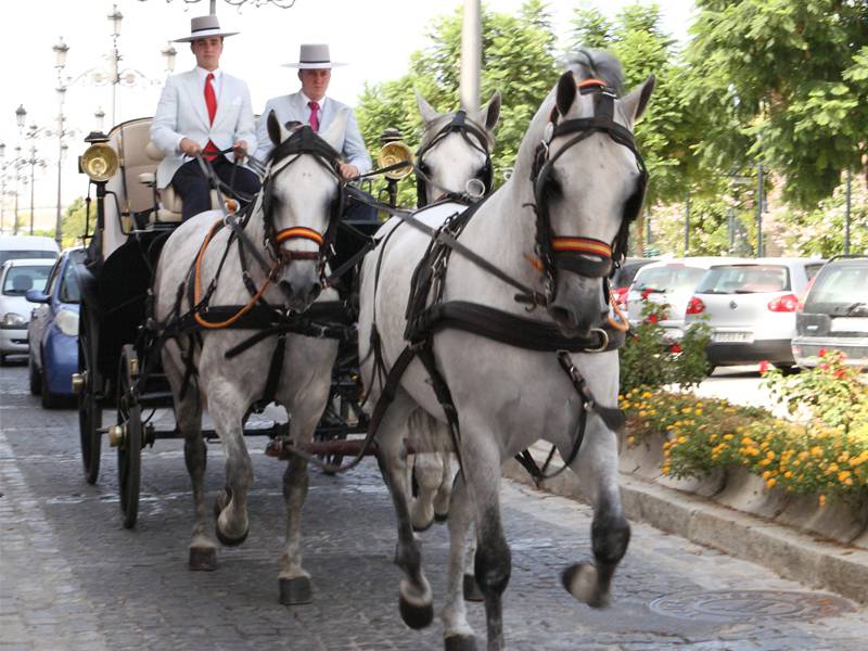 Carruajes Carrasquilla