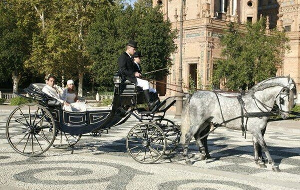 Carruajes y coches clasicos Juan José Solis