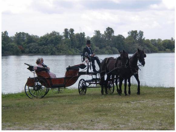 Coche De Caballos 