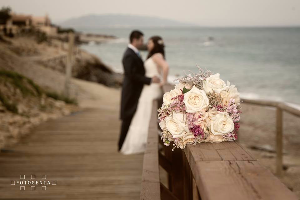 fotogenia studio fotografo bodas almeria