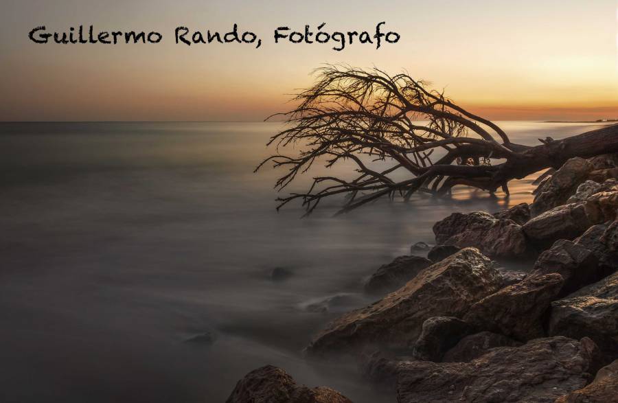 Guillermo Rando, Fotógrafo