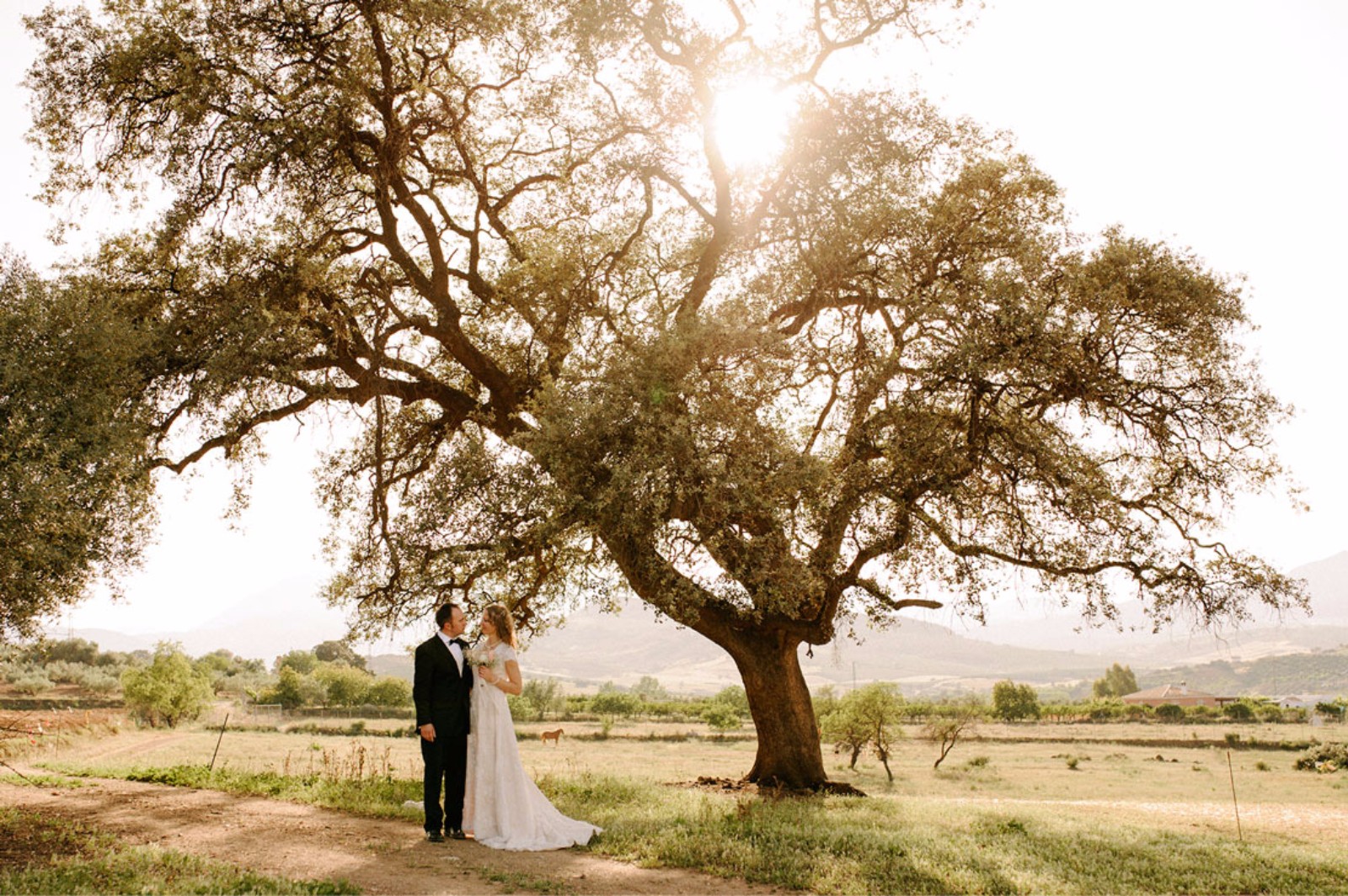 Fran Ponce Fotógrafo De Bodas Málaga