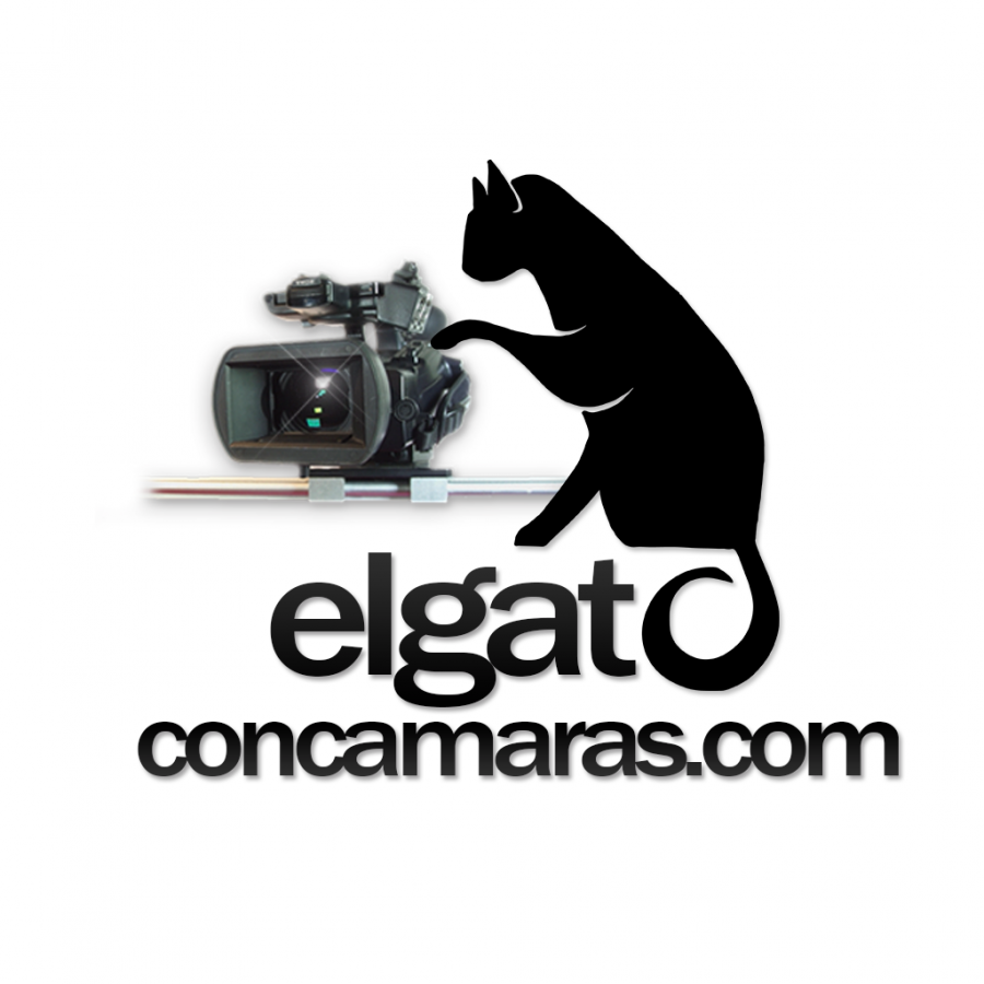 "el Gato Con Cámaras"