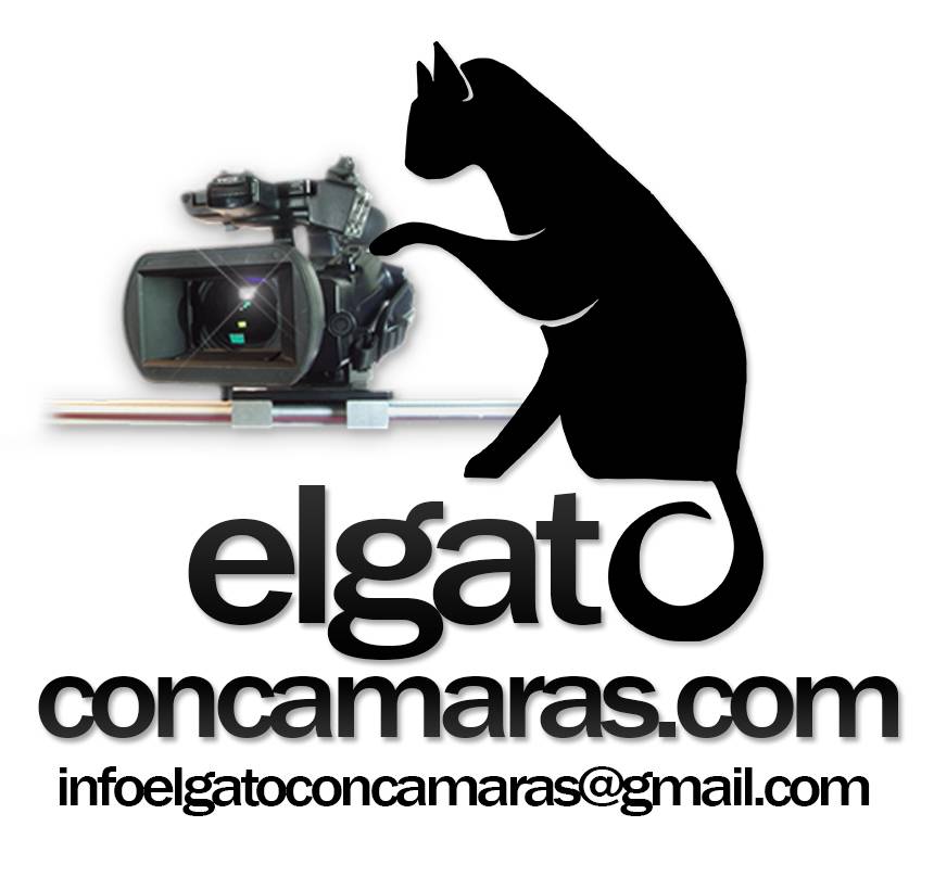 "el Gato Con Cámaras"