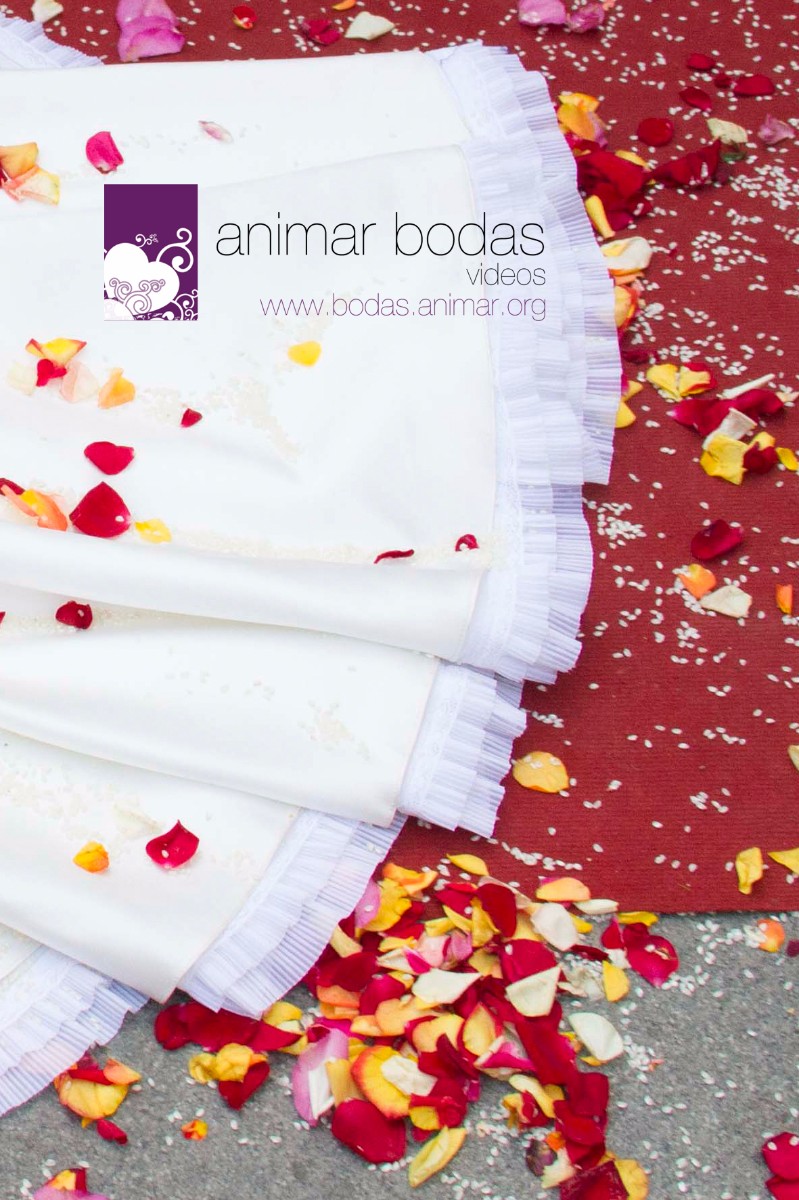 Animar Bodas - Video