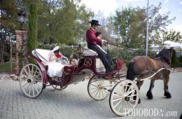 Una boda flamenca