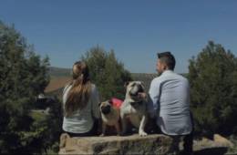 Mascotas en vuestra boda y en vuestros vídeos 