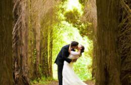 Peinados para bodas de otoño