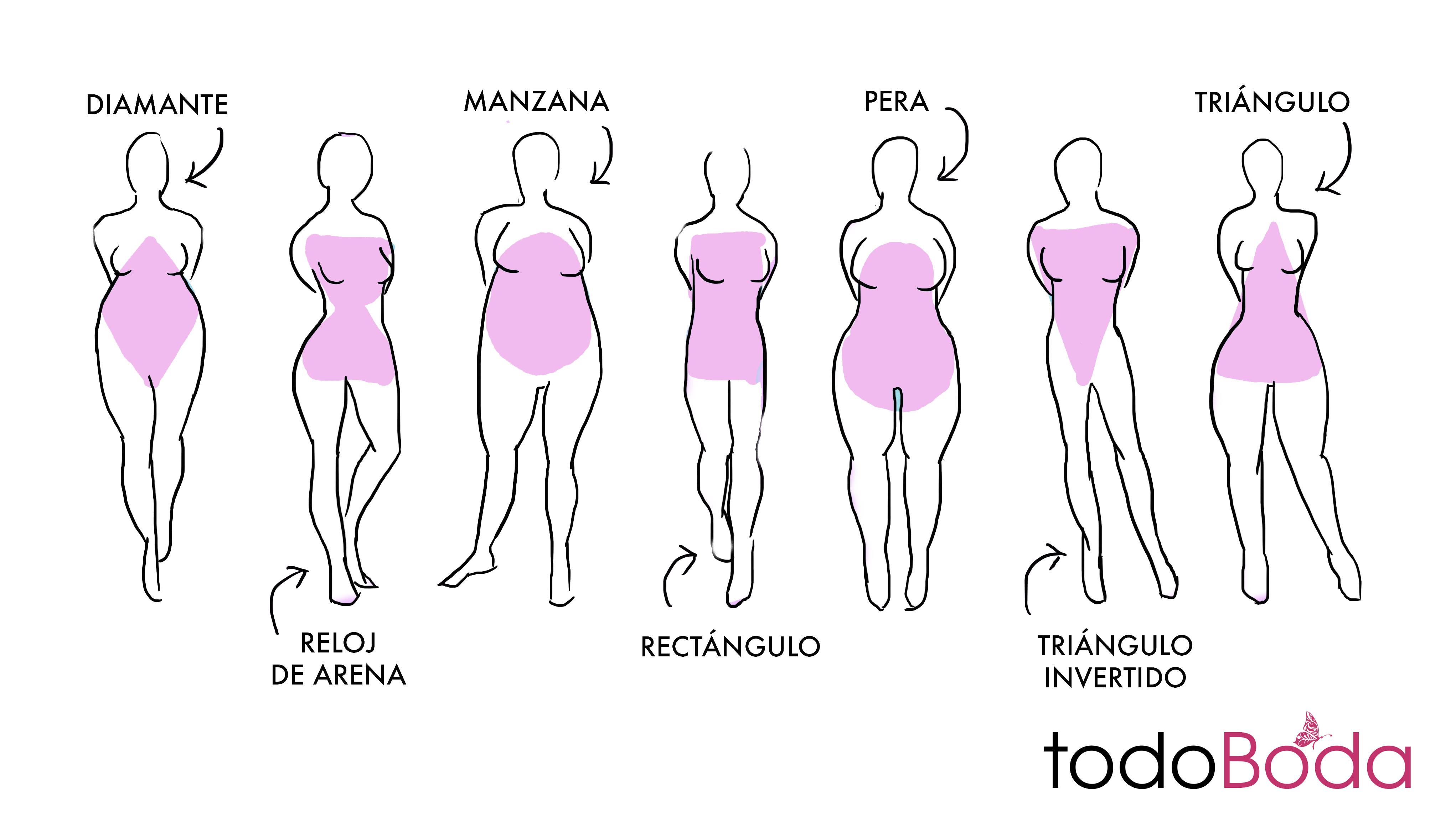 tipos silueta cuerpo mujer