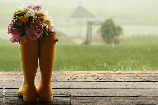 lluvia boda