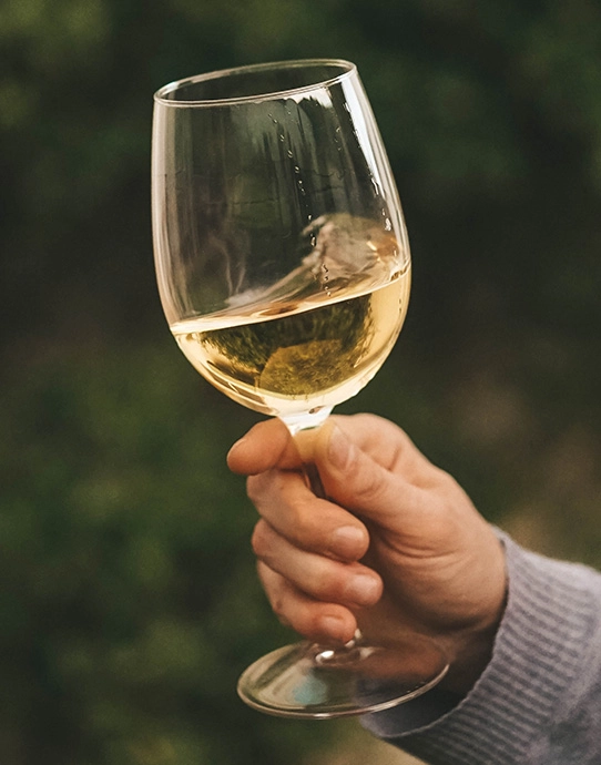 ¿Cuál es el mejor vino? ¡Vino Albariño sin lugar a dudas!