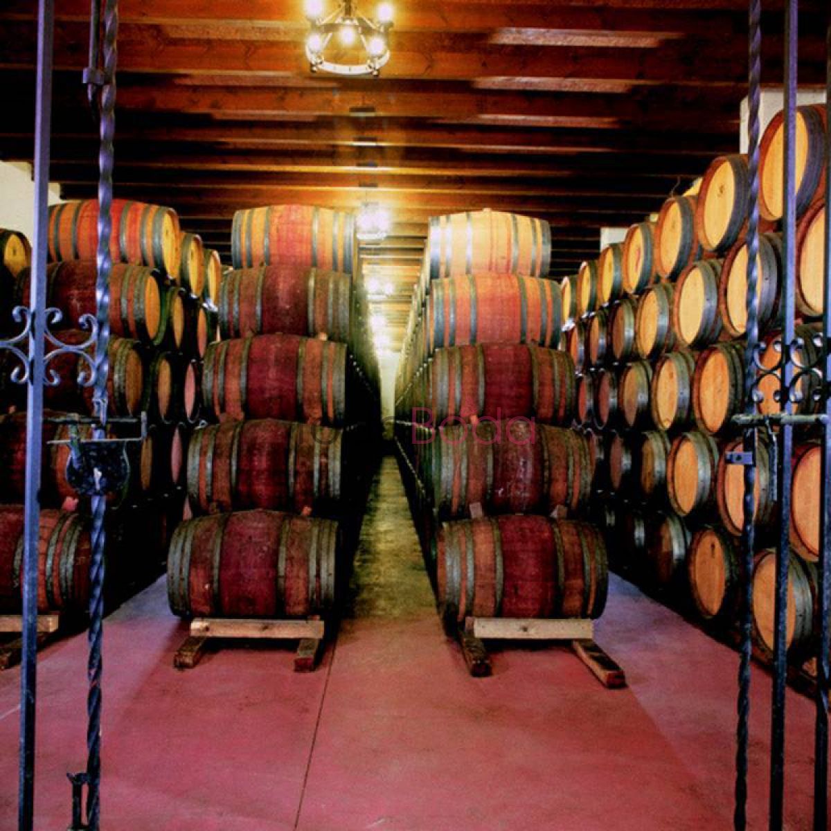 bodegas farina interior