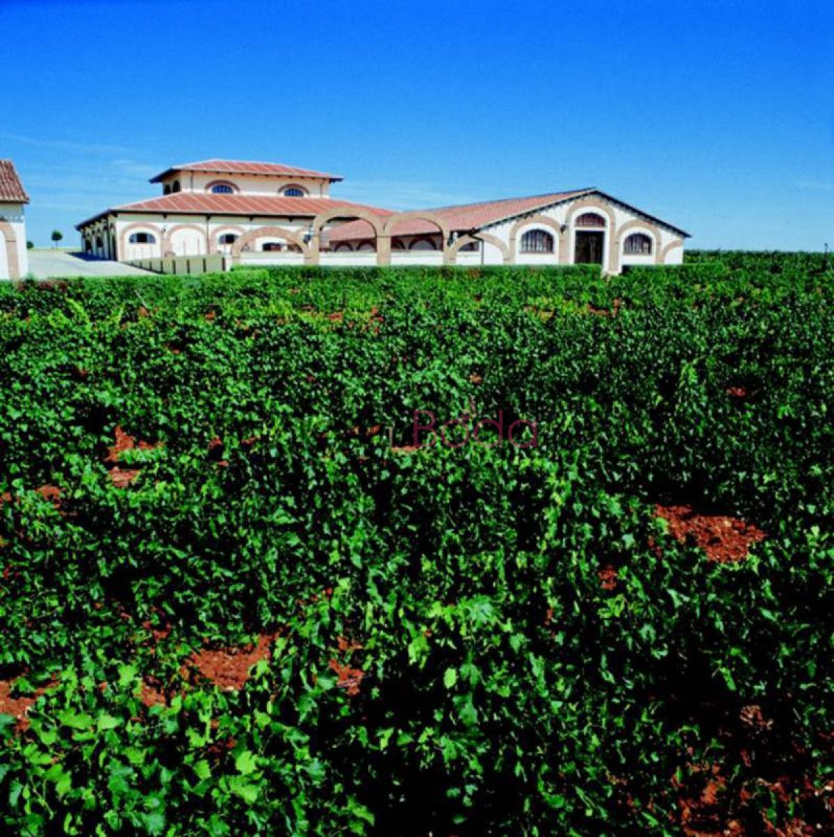 bodegas farina