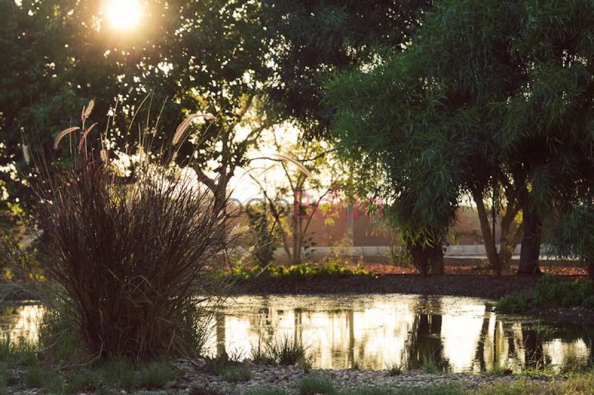 Finca los sauces banquete fincas para boda Murcia