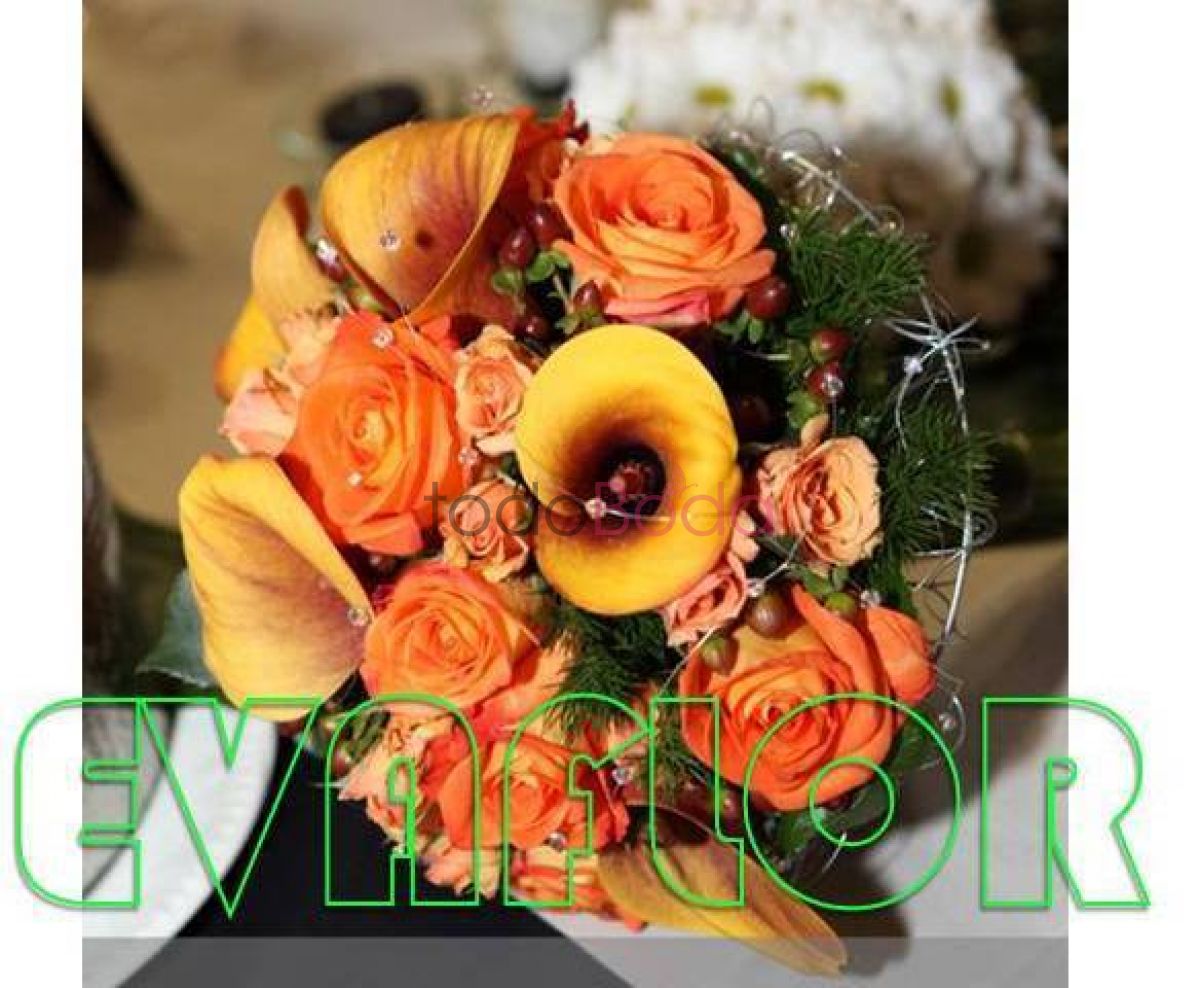 evaflor floristerias de boda en zaragoza