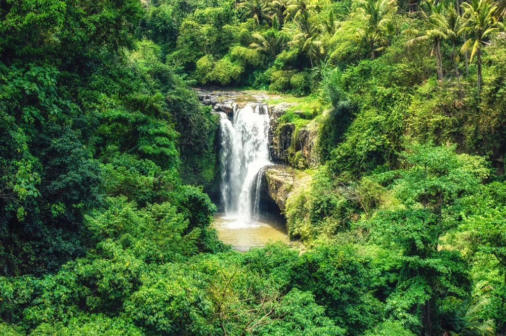 cascadas de Tegenungan