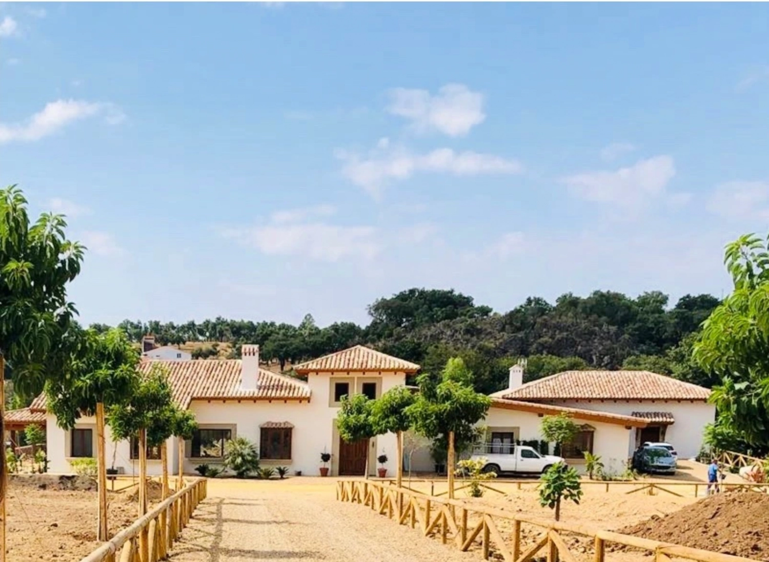 Finca Valdelaseras boda en un olivar Badajoz