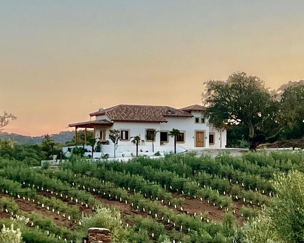 Finca Valdelaseras boda en un olivar Badajoz